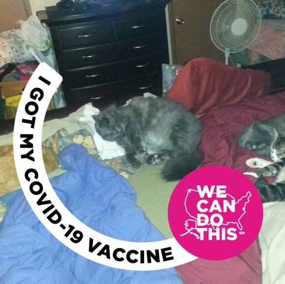 Meet your Posher, Cindy - Picture 1 of 1